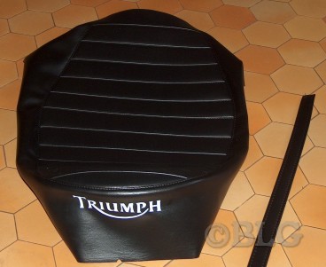 Triumph-thunderbird.jpg